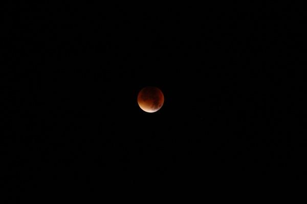 D_20150928-041416 IMG_0344.jpg